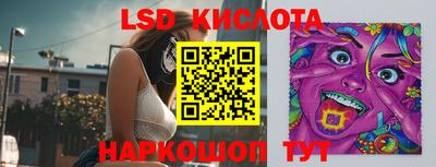 стаф Кулебаки