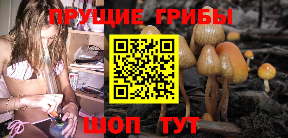 Галлюциногенные грибы прущие грибы  Псилоцибиновые грибы GOLDEN TEACHER  Камень-на-Оби  Вход с VPN 
